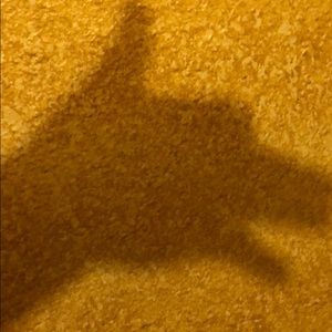 Meet your Posher, Rodolfo